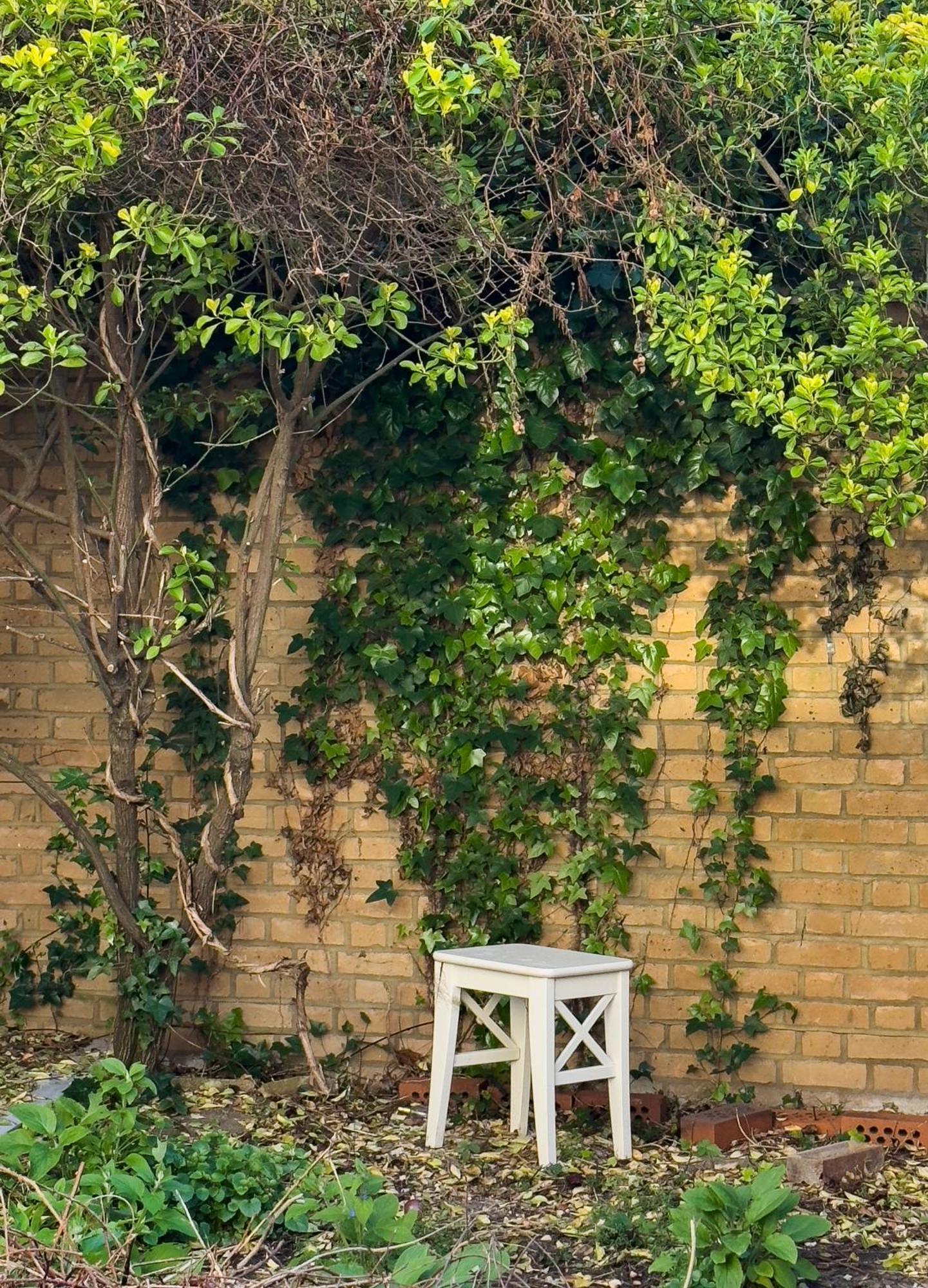 Camden Apartments ลอนดอน ภายนอก รูปภาพ